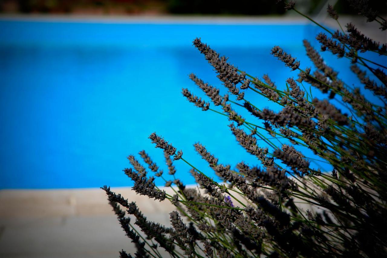 Agriturismo Girolomoni - Locanda Isola del Piano المظهر الخارجي الصورة